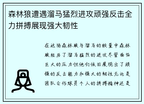 森林狼遭遇溜马猛烈进攻顽强反击全力拼搏展现强大韧性