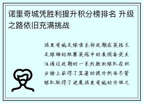 诺里奇城凭胜利提升积分榜排名 升级之路依旧充满挑战