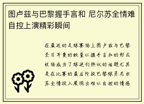 图卢兹与巴黎握手言和 尼尔苏全情难自控上演精彩瞬间